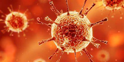CLL 一线治疗革新，pirtobrutinib 联合疗法开启新篇章